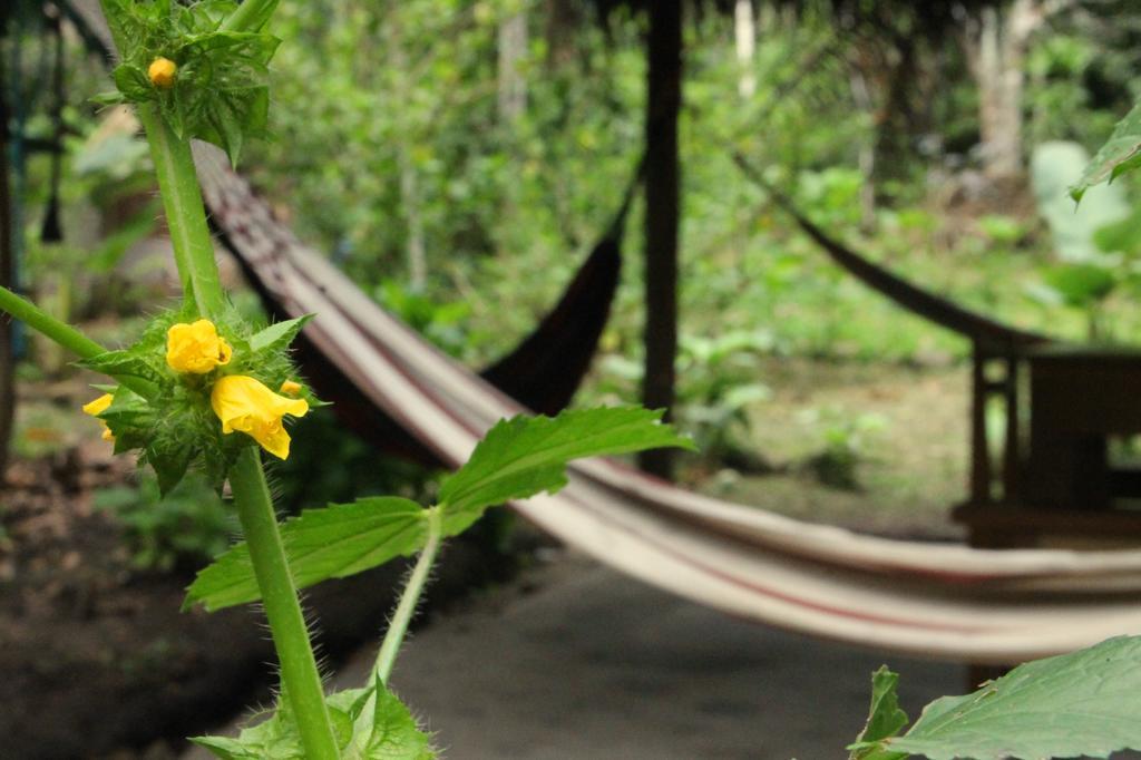 Shimiyacu Amazon Lodge Tarapoto Exterior foto