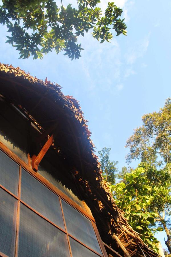 Shimiyacu Amazon Lodge Tarapoto Exterior foto