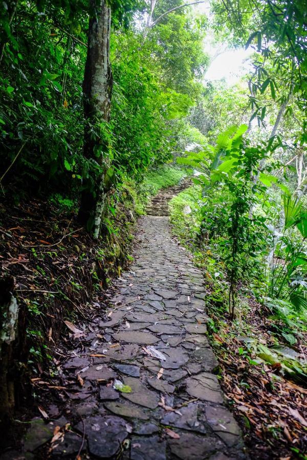 Shimiyacu Amazon Lodge Tarapoto Exterior foto