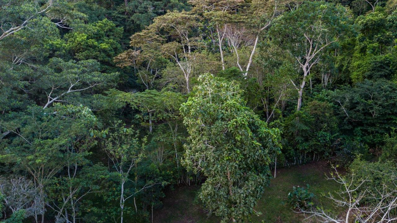 Shimiyacu Amazon Lodge Tarapoto Exterior foto