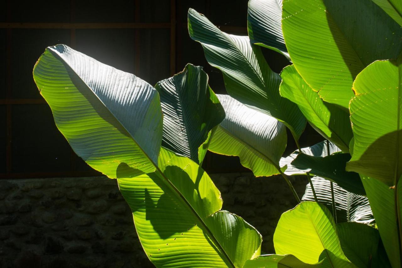 Shimiyacu Amazon Lodge Tarapoto Exterior foto